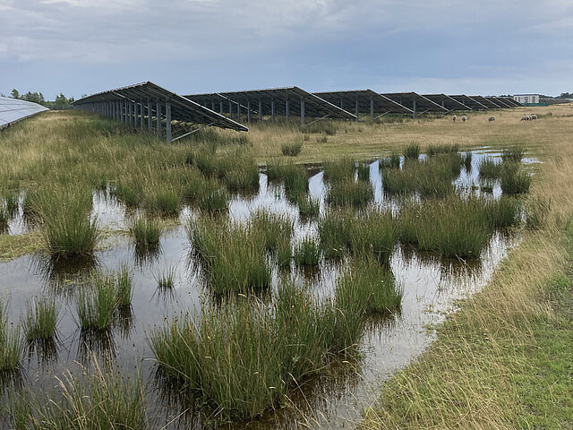 Im Vordergrund ist ein Wasserbecken zu sehen. Dahinter stehen Solarmodule und Schafe grasen zwischen ihnen.