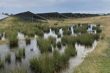 Im Vordergrund ist ein Wasserbecken zu sehen. Dahinter stehen Solarmodule und Schafe grasen zwischen ihnen. 