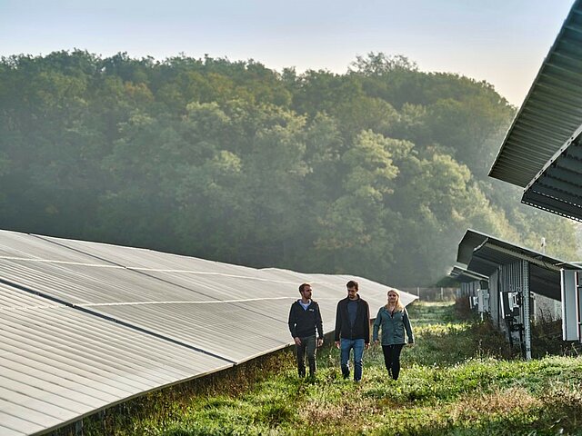 Drei Personen laufen durch den Solarpark.