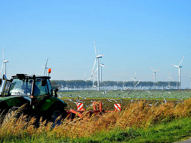 Im Vordergrund fährt ein Traktor mit Grubber über ein Feld, um ohn herum fliegen Vögel, im Hintergrund steht ein Windrad