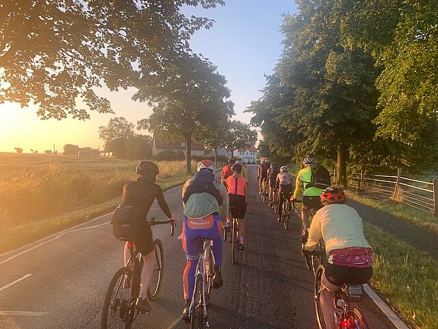 Eine Gruppe Radler*innen sitzen auf ihren Rennrädern und fahren auf einer Allee.