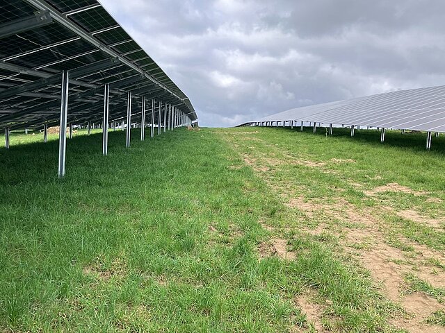 Der Weg zwischen den Solarmodulen auf einem grünen Feld.