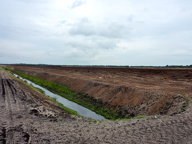 Vorherzustand der Fläche des Solarpark Georgsdorf.