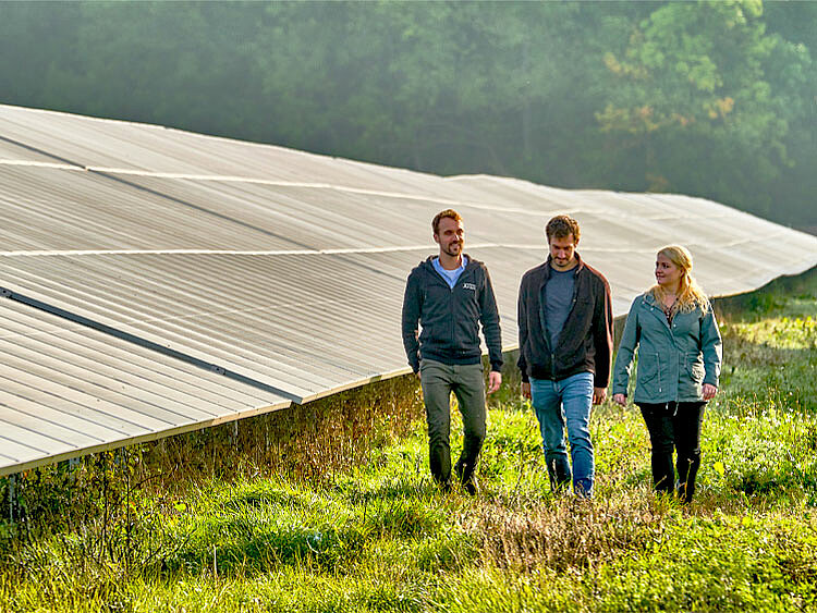 Drei JUWI-Mitarbeiter*innen laufen durch einen Solarpark.