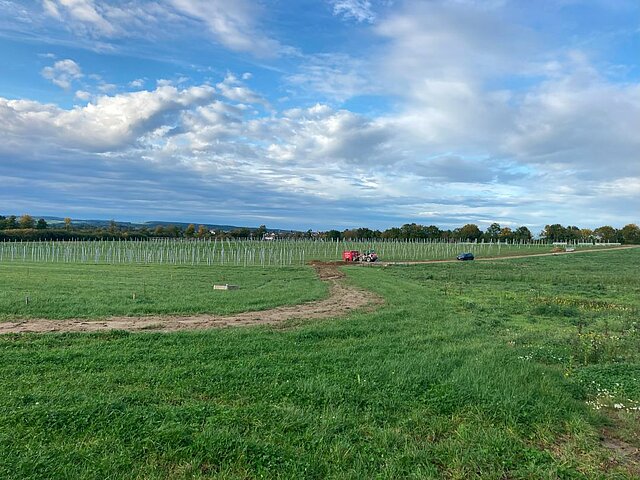 Die Baustelle des Solarparks Ahldorf.