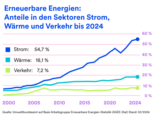 Anteil der erneuerbaren Energien am gesamten Strommix in Deutschland 2024