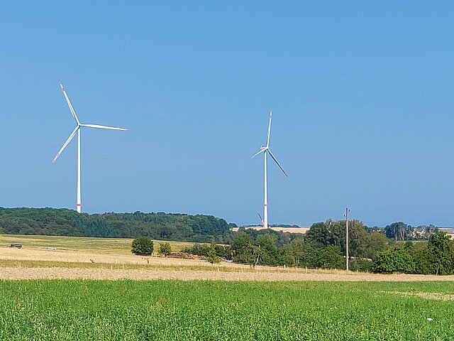 Zwei Windenergie-Anlagen stehen am Horizont. Dafür sind Felder Wiesen und Bäume zu sehen. Am Himmel ist keine Wolke zu sehen.