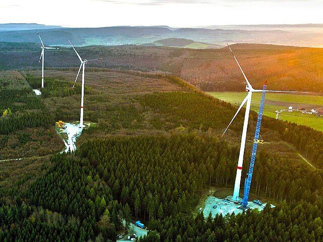 Mehrere Windenergie-Anlagen stehen im Wald und werden spärlich von der aufgehenden Sonne beschienen.