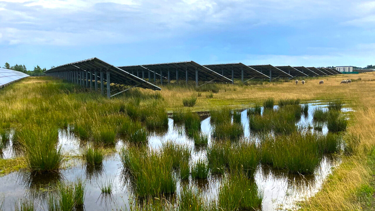 Ein Freiflächensolarpark mitten in einer Moorlandschaft.