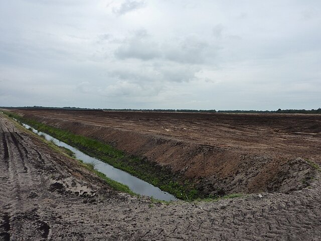 Vorherzustand der Fläche des Solarpark Georgsdorf.