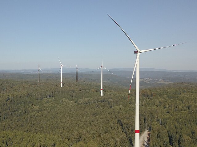 Die Anlagen des Windpark Rosskopf, wie sie von der Sonne beschienen inmitten von Nadelbäumen stehen.