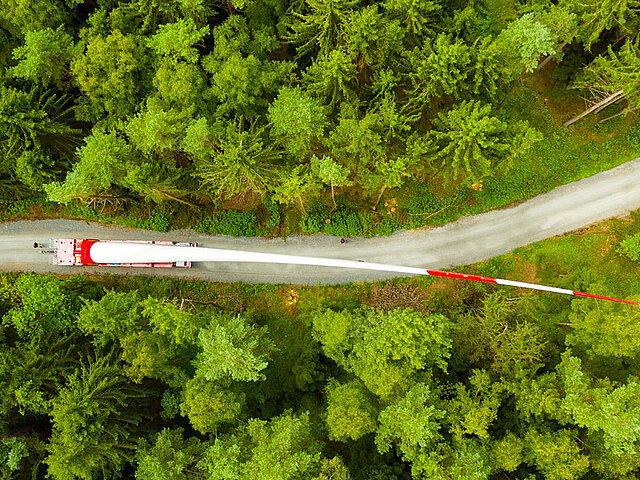 Das Rotorblatt einer Windenergie-Anlage wird mit einem Selbstfahrer auf einem engen Waldwegtransportiert. 