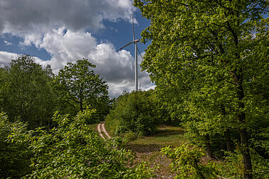 Eine Windenergie-Anlage steht in einem Wald.