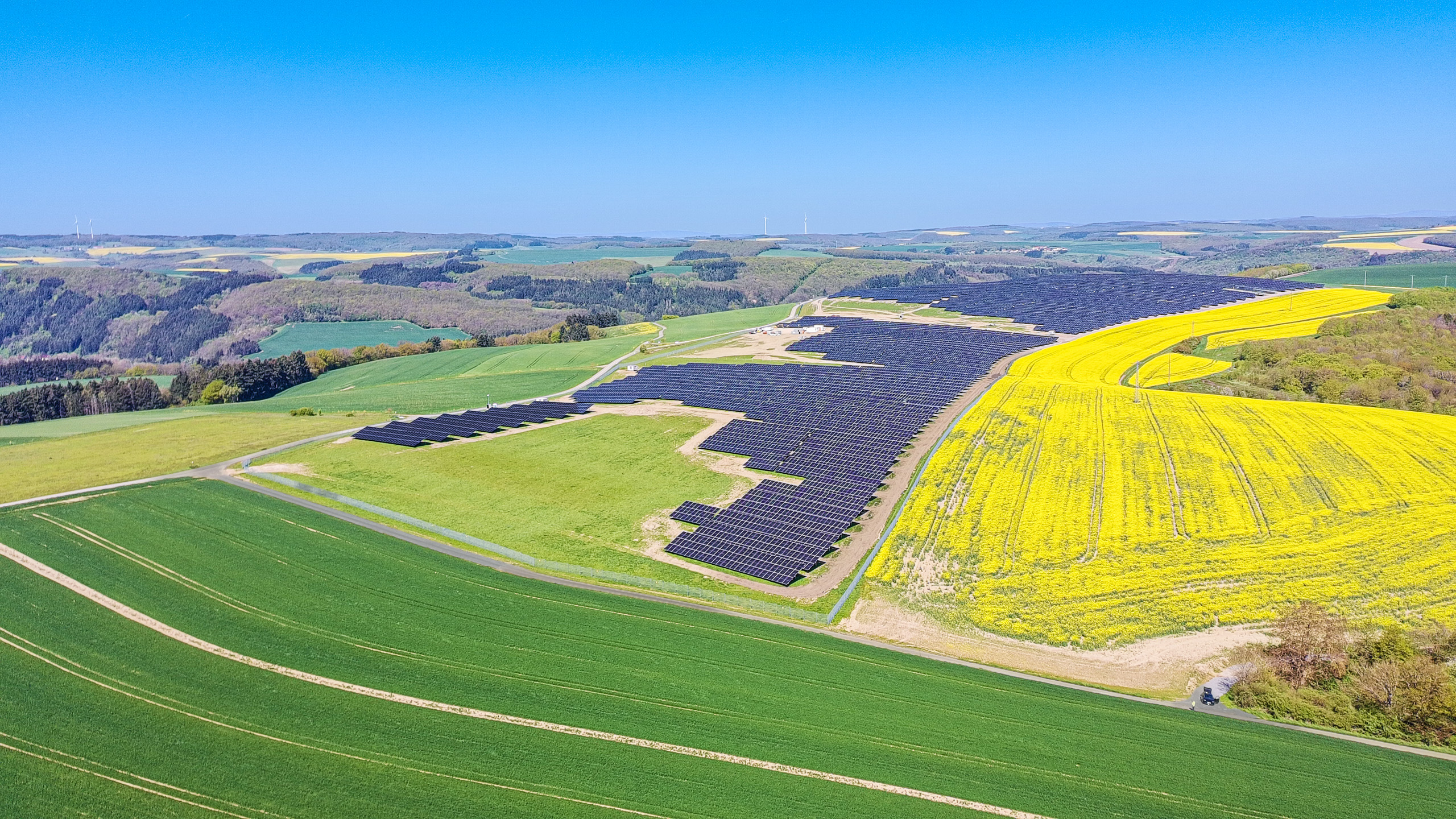 social media image