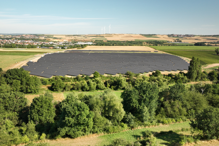 Der Solarpark Eisenberg bei strahlendem Sonnenschein. Zu sehen sind vor allem die großen, fast schwarzen Module des Solarparks. 