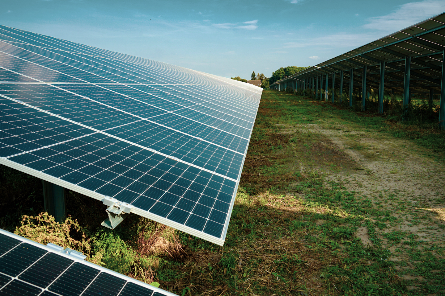 Solarmodule des Solarparks Gesmold.